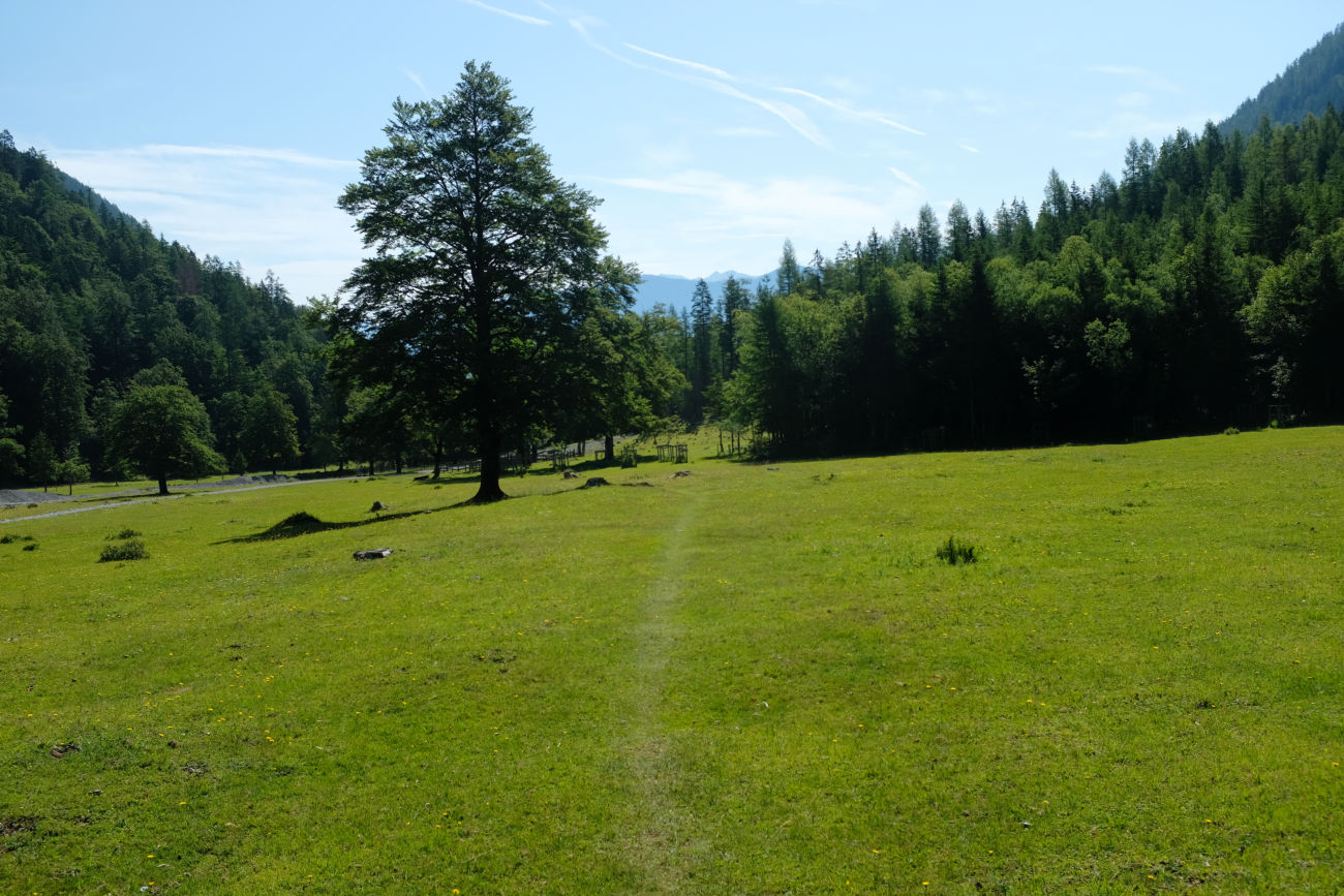 Abk&uuml;rzung