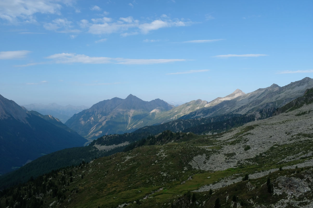 Wolfendorn