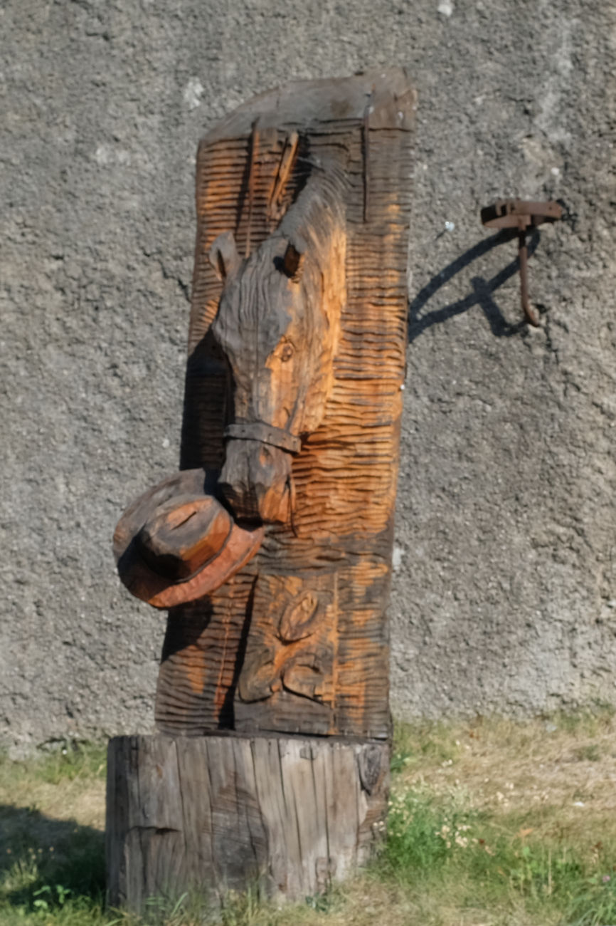 Pferdekopf