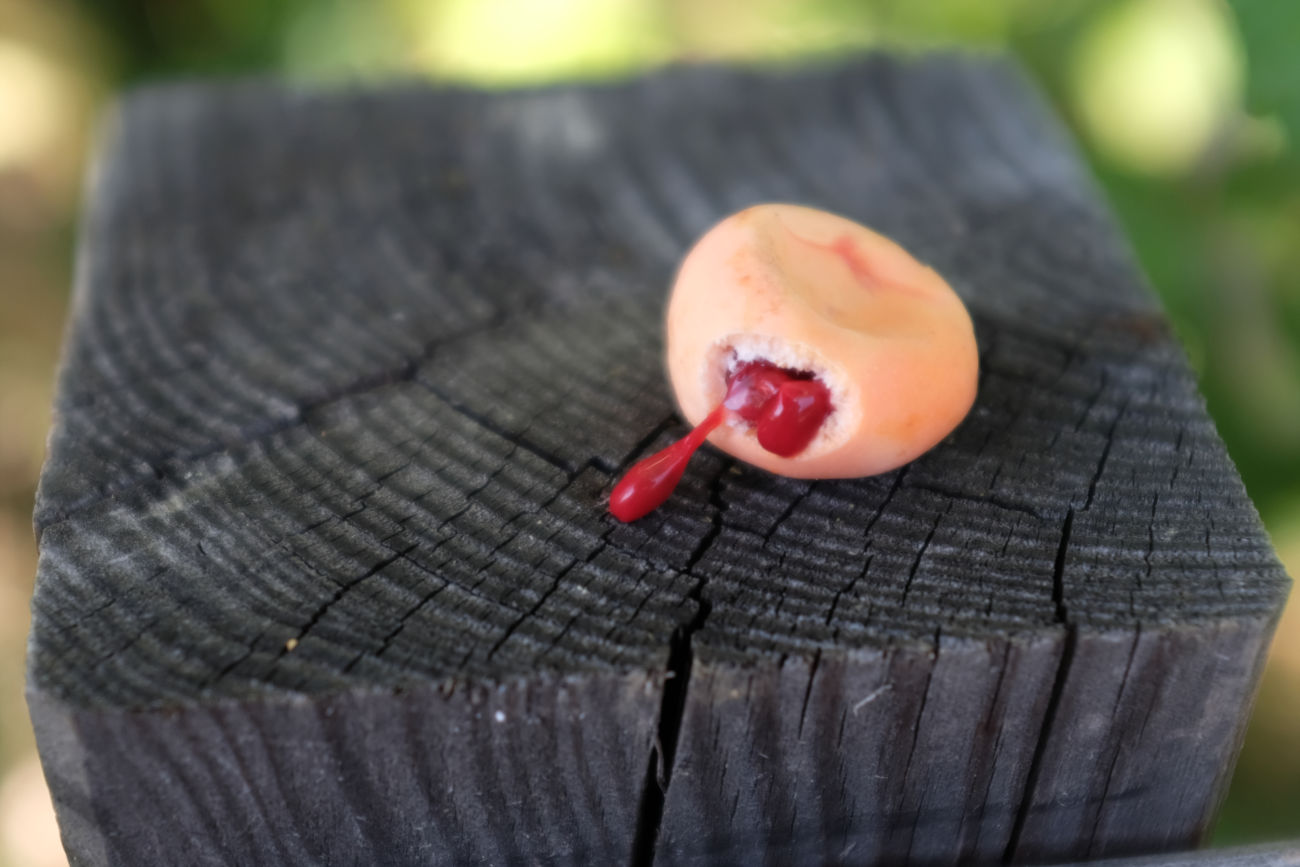 Frucht der Blauen Passionsblume
