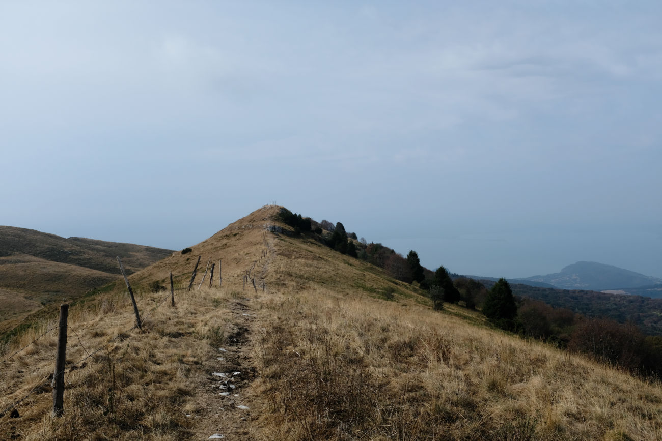 Kamm