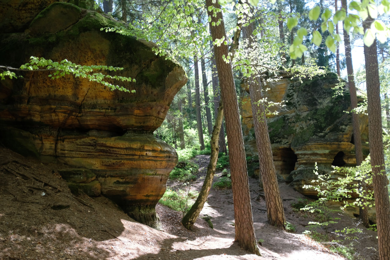 Felsen