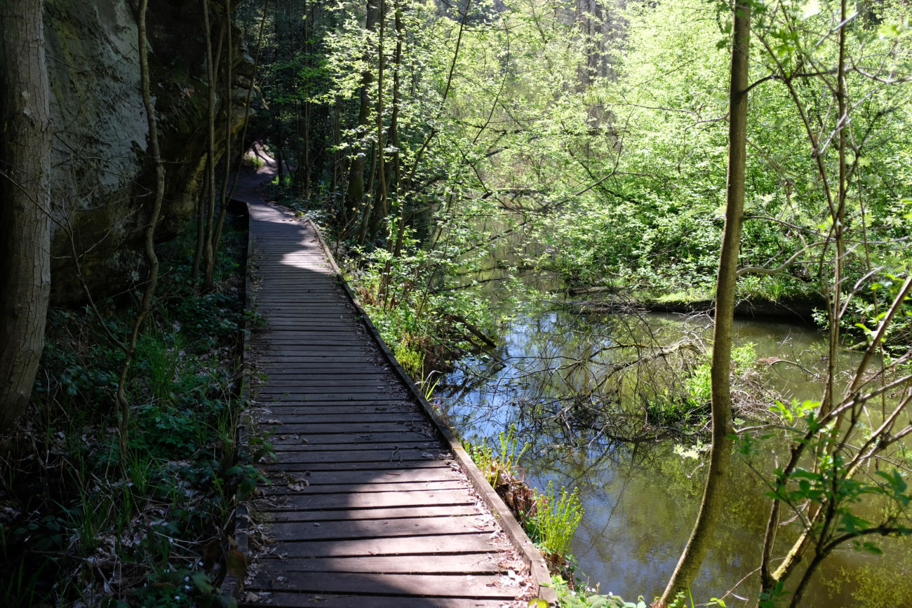 Holzbohlenweg