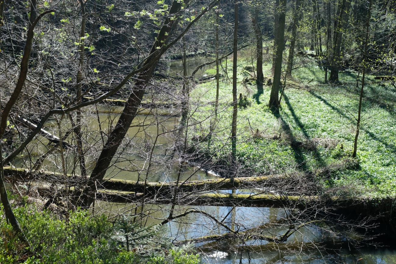 wilde Natur