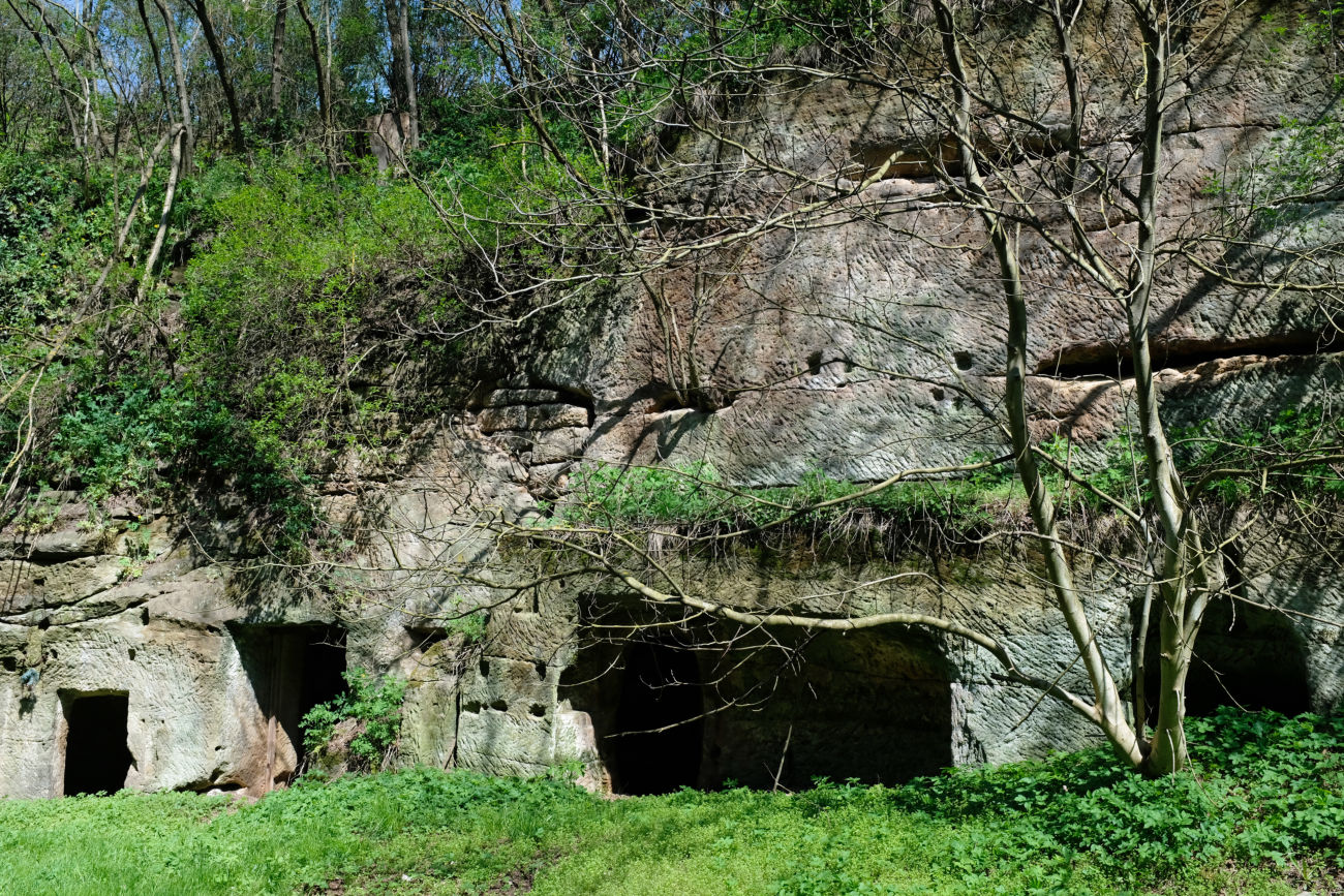 Kellerh&ouml;hlen