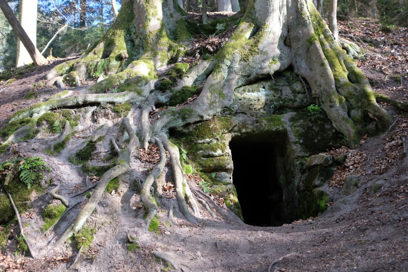 Steinh&ouml;hle