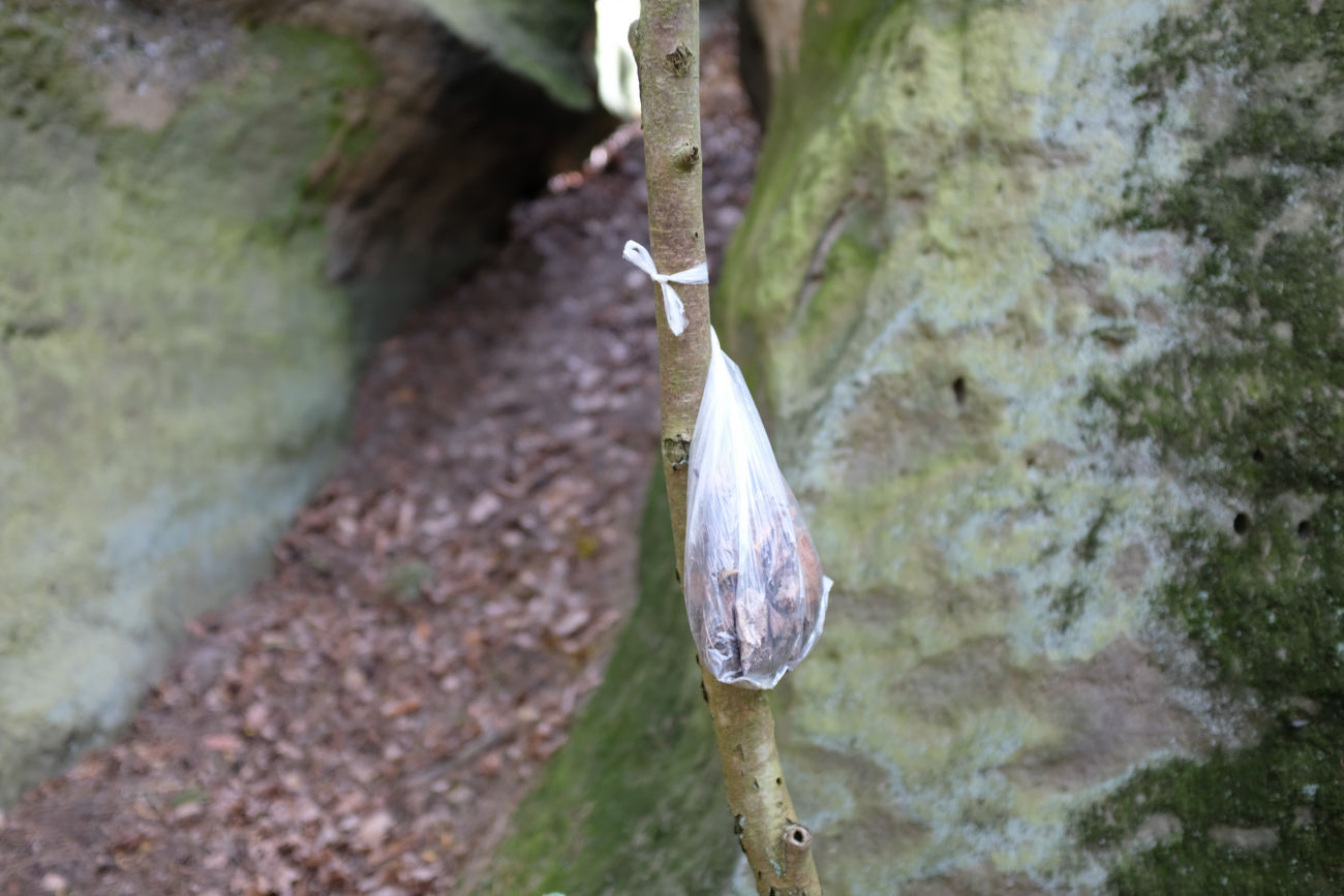 Laubbeutel
