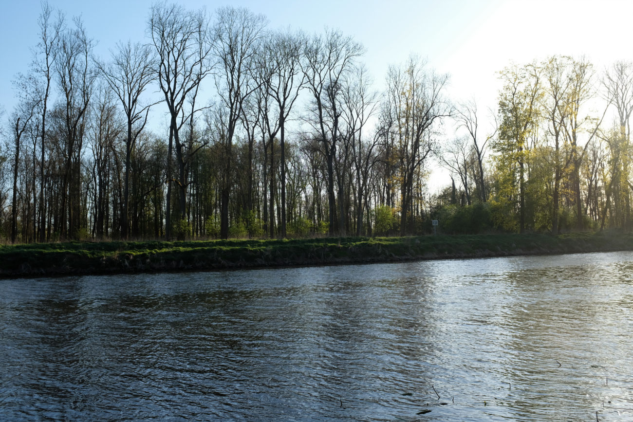 Elbe