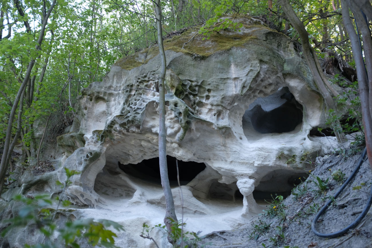 Kalk-Sandstein